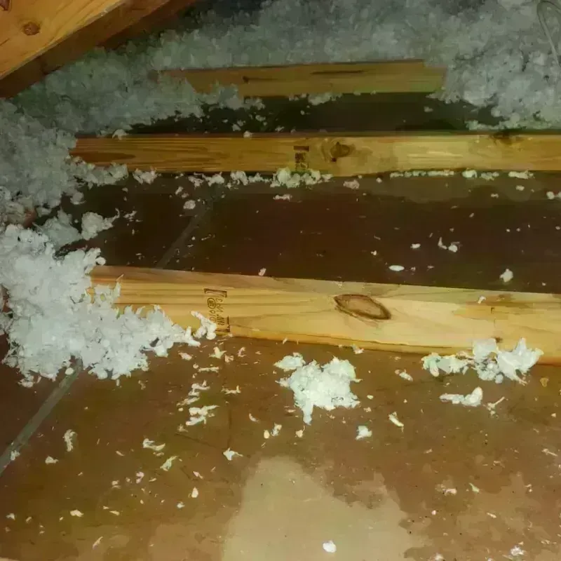 Attic Water Damage in Remington, IN