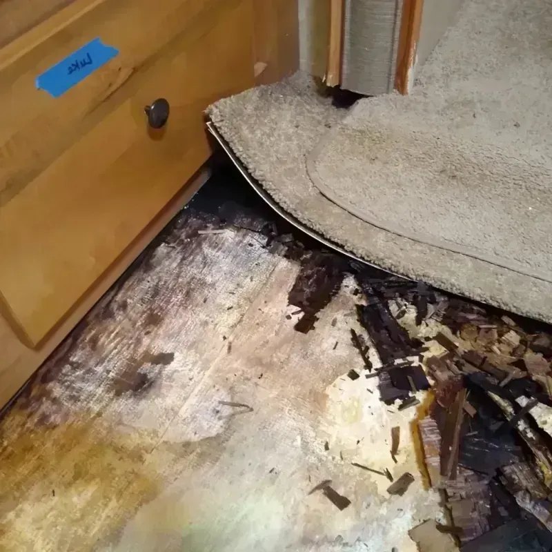 Wood Floor Water Damage in Remington, IN